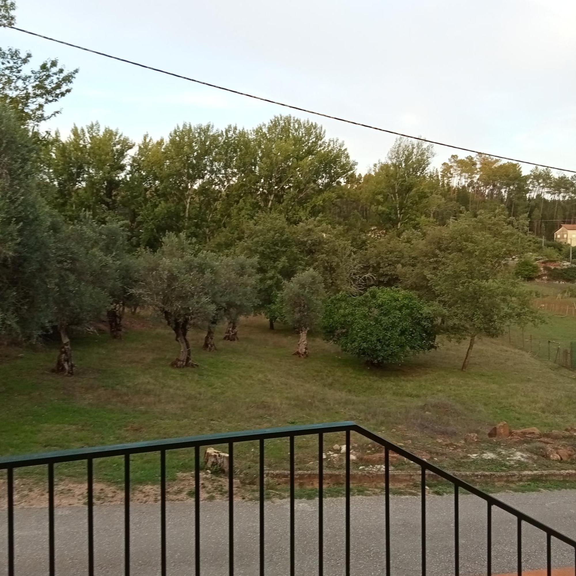 Apartment Local - Casa Amarela *